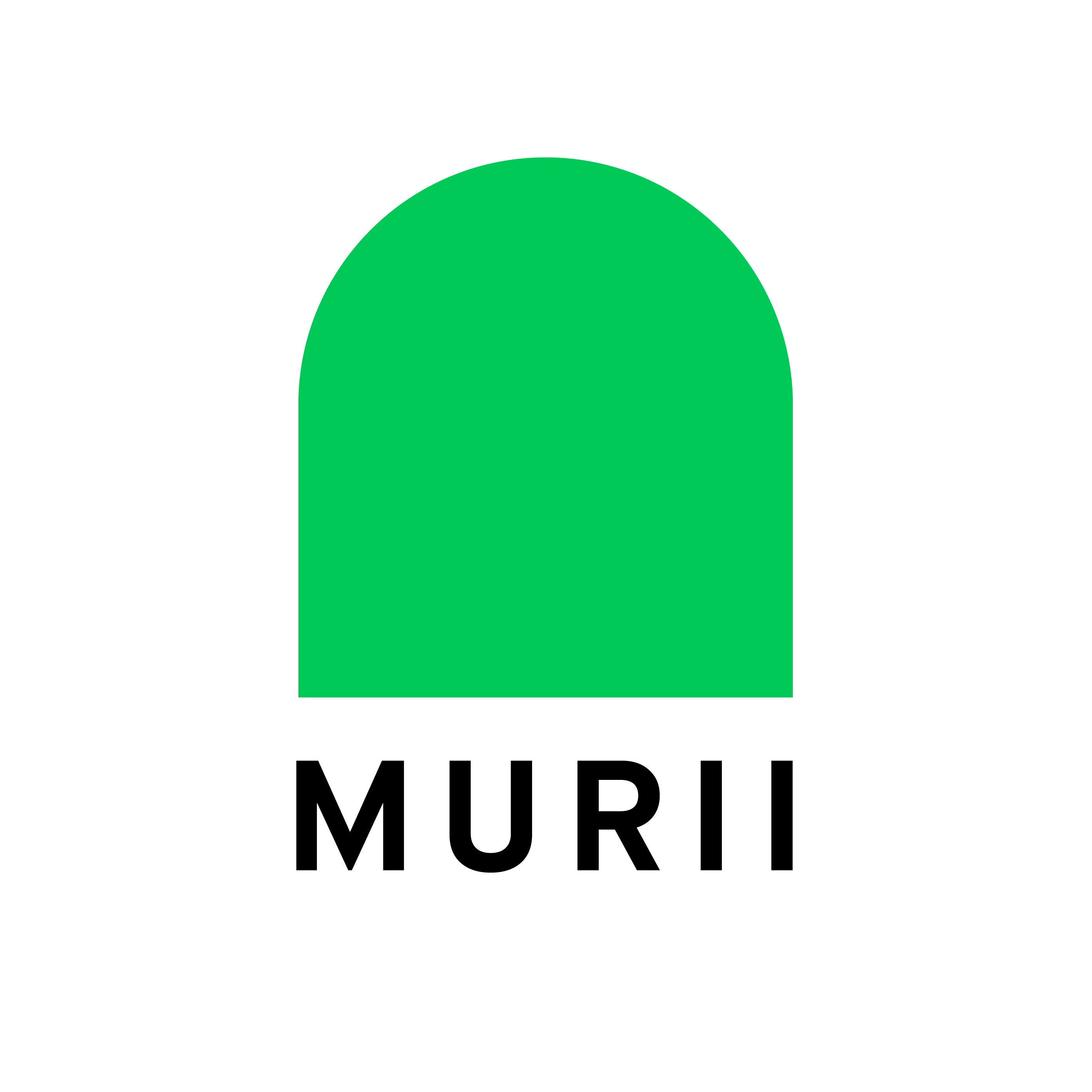 Logo Design 14